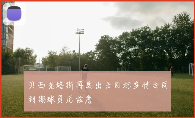 贝西克塔斯再度出击目标多特合同到期球员厄兹詹
