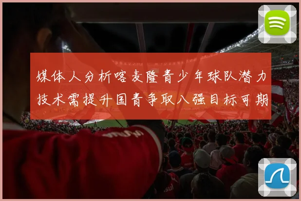 媒体人分析喀麦隆青少年球队潜力技术需提升国青争取八强目标可期