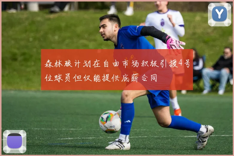 森林狼计划在自由市场积极引援4号位球员但仅能提供底薪合同