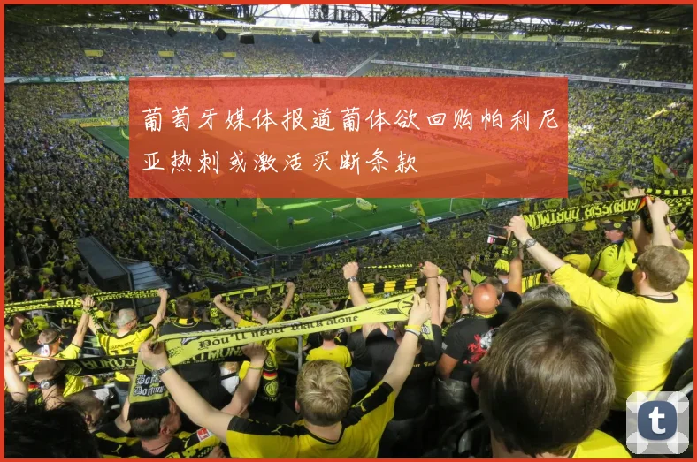 葡萄牙媒体报道葡体欲回购帕利尼亚热刺或激活买断条款